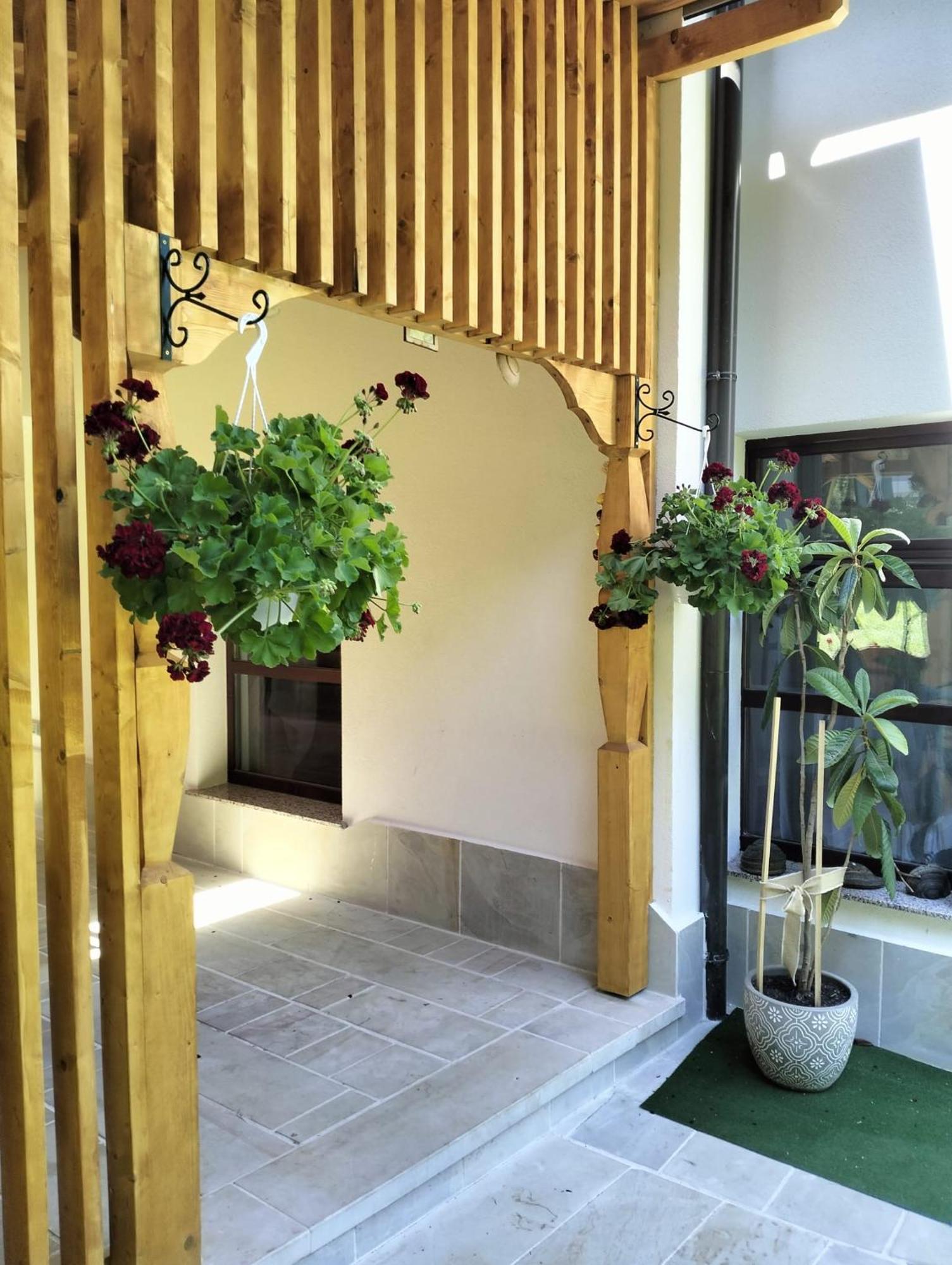 Casa Lucretia Hotel Vama  Luaran gambar